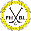 FHBL - 1.liga logo